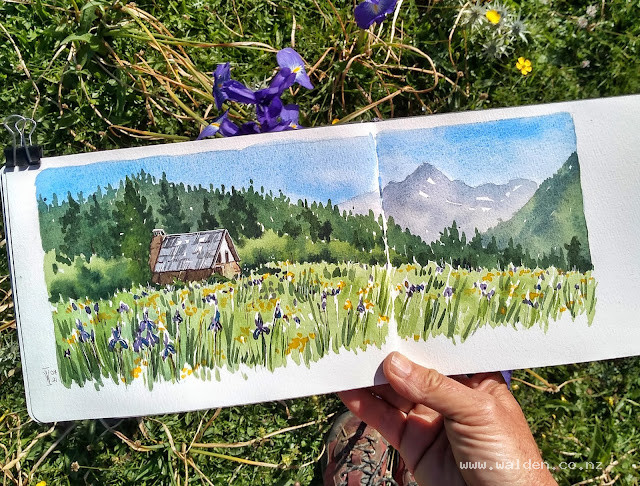 Wild alpine irises and a little alpine hut, Pyrenees, Spain
