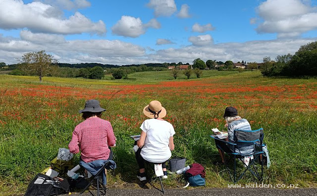 Painting a poppy field in France