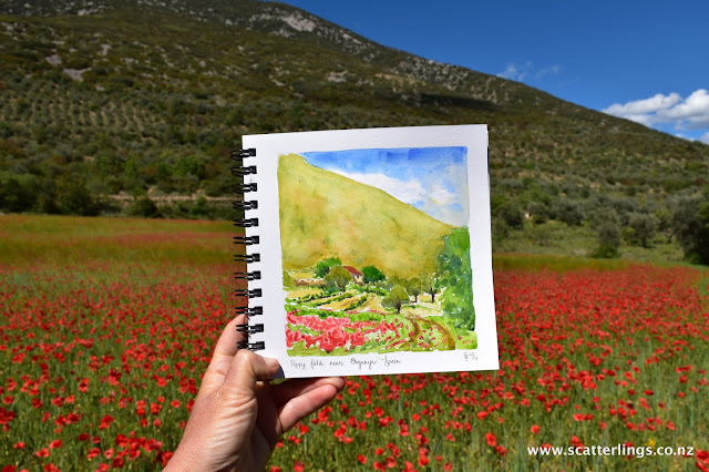 Fields of poppies, a sure sign of spring in Europe. Organya, Spain