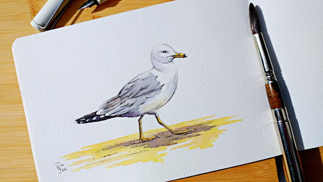 let's sketch a seagull