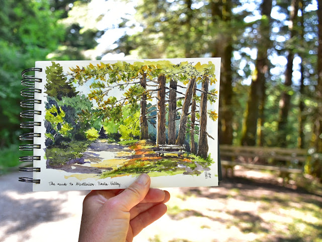 taking my sketchbook for a walk