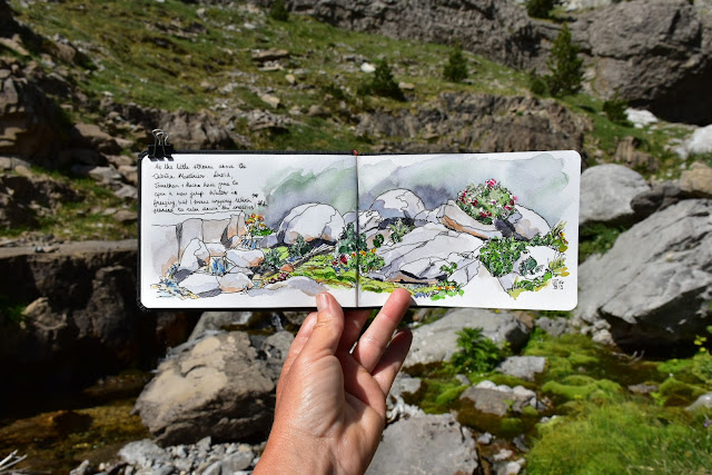 Tiny alpine stream, Montinier, Spanish Pyrenees