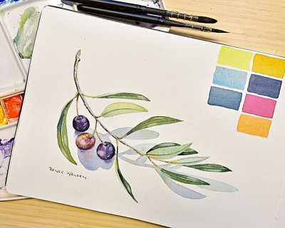 an olive branch in watercolour