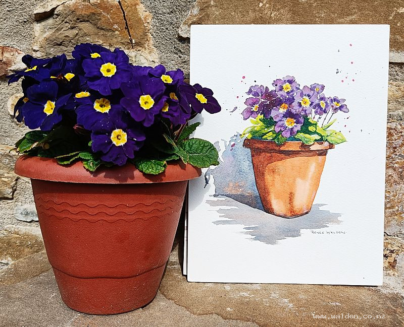Violet primroses in watercolour