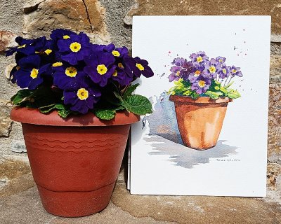 how to paint primroses without getting lost in the detail