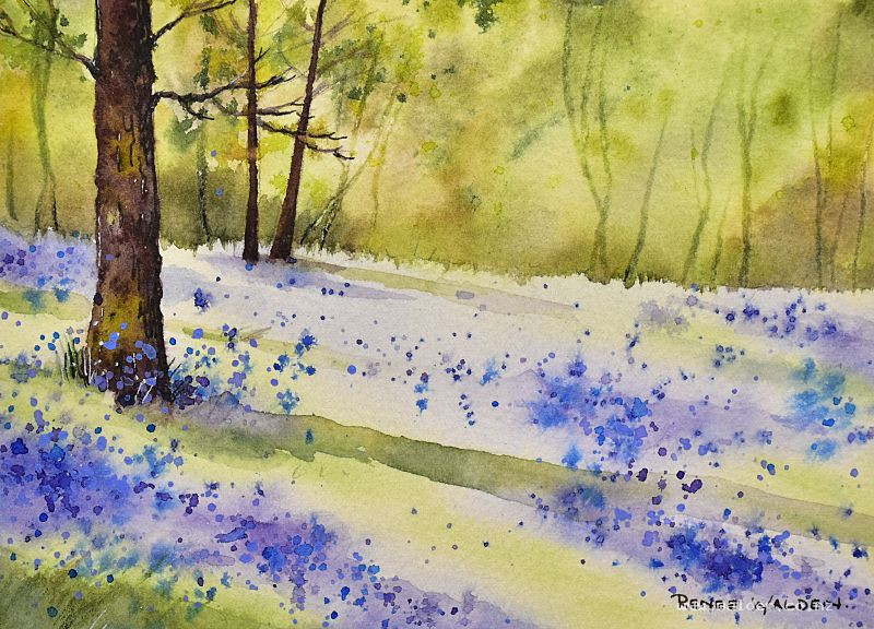 Bluebell forest in watercolour