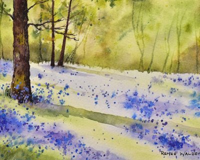 a bluebell forest in watercolour (without painting a single bluebell)
