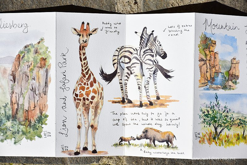 Accordion sketchbook with watercolour sketches
