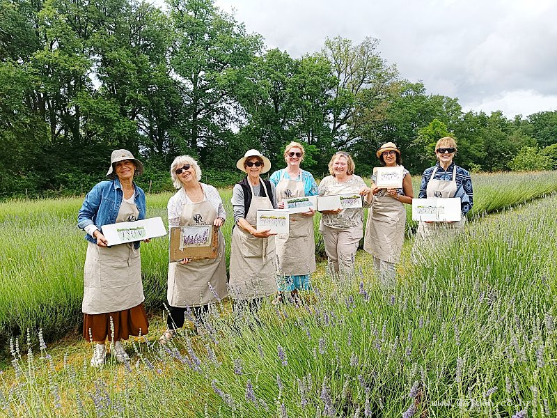 Painting a lavender field in France