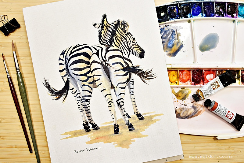 Watercolour painting lesson - zebras