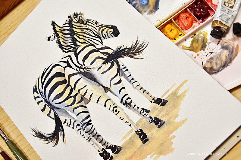 Watercolour painting tutorial - zebras