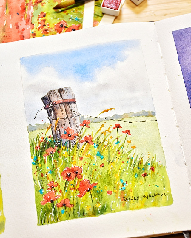 Summer wildflowers & an old fence post