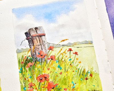 summer flowers & an old fence post
