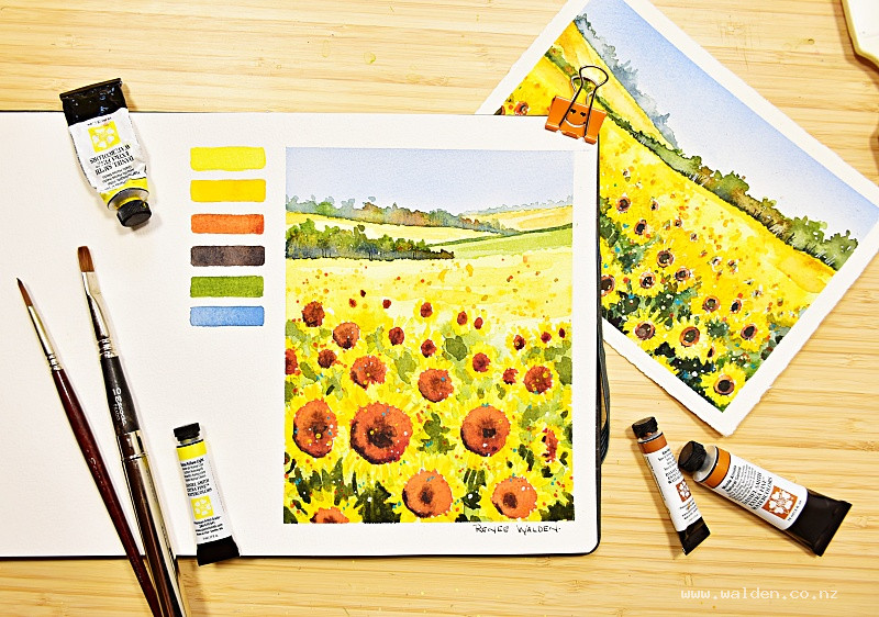 Sunflower field in watercolour