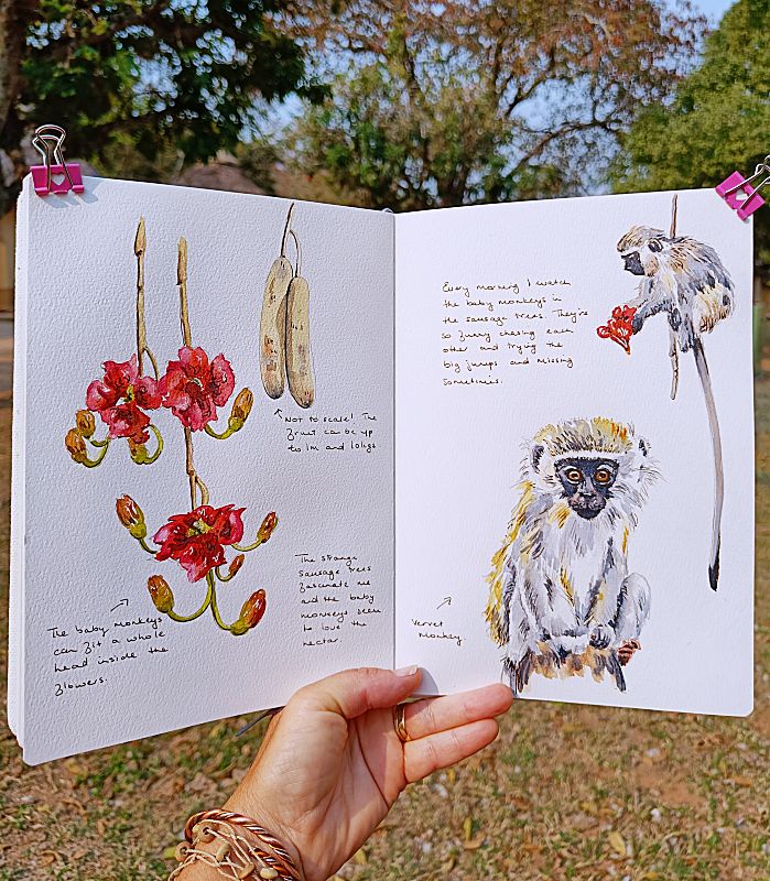 Kruger National Park, South Africa