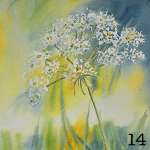 14. Golden Chervil
