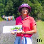 16. Lavender field at Perigord Retreats