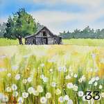 33. A barn in a field of dandelions