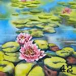 42. A waterlily pond