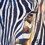 52. Zebra