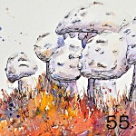 55. A group of white mushrooms