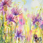 56. Summer wildflowers