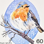 60. Robin in the snow