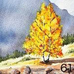 61. Autumn silver birches