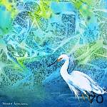 70. White egret