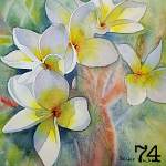 74. Frangipanis