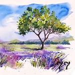 77. Lavender meadow