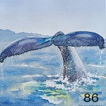 86. Whale tail