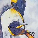 87. Penguins