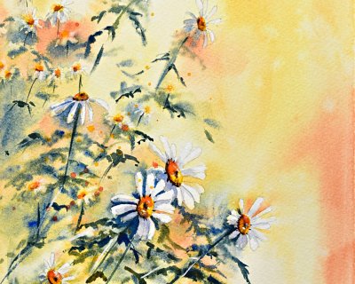 My neighbour's daisies (part 1)