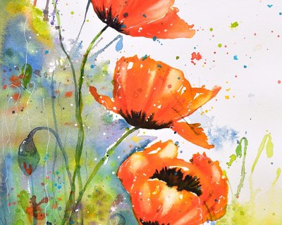 Bold poppies