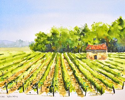 Vineyard