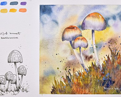 Beautiful bonnet mushrooms