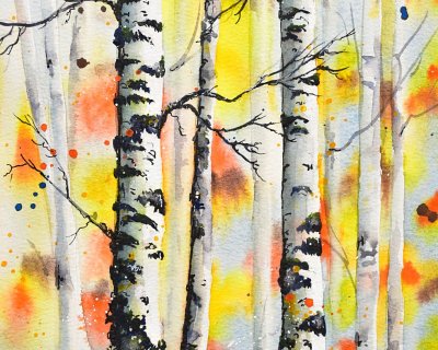 Autumn silver birches