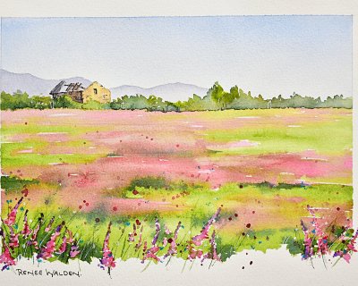 Pink meadow