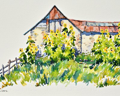 Giant sunflowers in front a barn