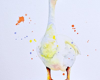 White goose