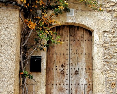 Old door with climbing flowers