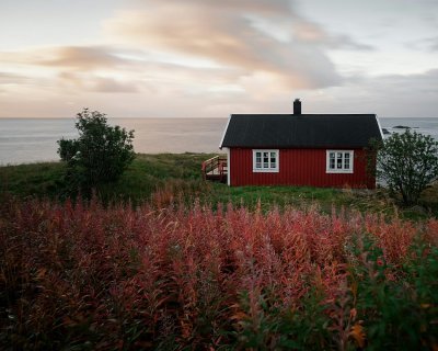 Little red house