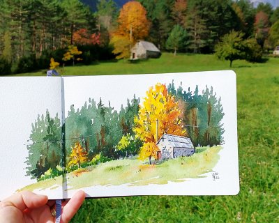 Autumn colours in the Pyrenees