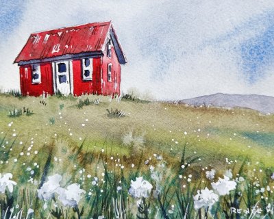 Little red house with a field of white flowers