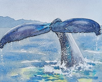 Whale tail