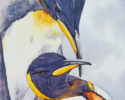 King penguins